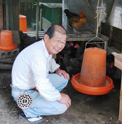 鶏の飼育場